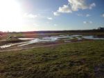 Salford Flood Basin Unveiled